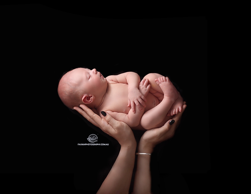 about Brisbane newborn baby photographer
